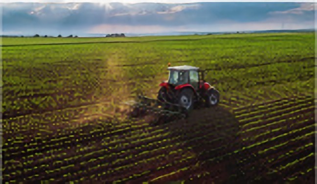 Traktor auf Feld